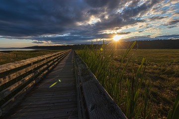 long wooden boardwalk streching far through a lush green wetlands below a bright cloudy sunset