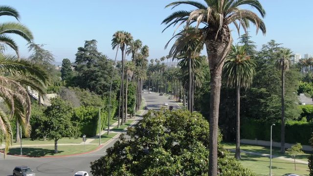 Beverly Hills Aerial Establish Shot Palm Trees Fly Through