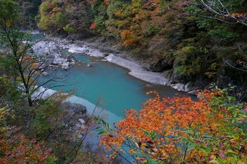 《抱返り渓谷の紅葉》秋田県仙北市