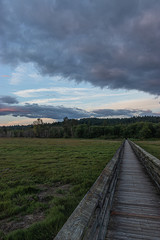 long boardwalk leading far across a lush green wetlands below a bright cloudy sunset