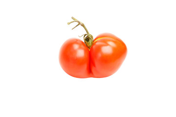An ugly tomato looking like Siamese twins