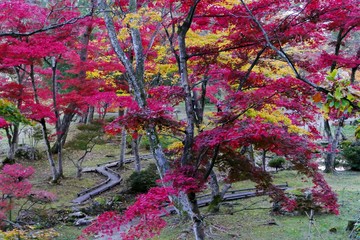 《旧池田氏庭園 払田分家の紅葉》秋田県大仙市