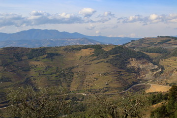 Fototapeta na wymiar Douro Valley in Portugal