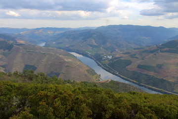 Fototapeta premium Douro Valley and River in Portugal