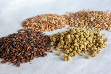 an amber lager beer and its component over a withe background.