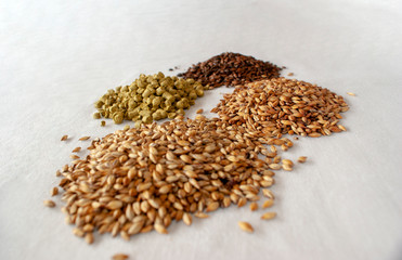 a close view of an amber lager beer and its component over a withe background.