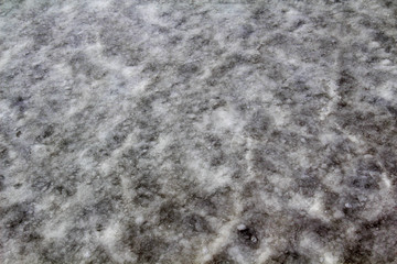 Grey white texture