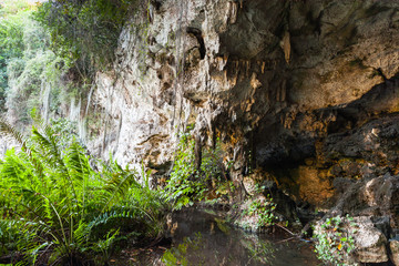 Los Tres Ojos open-air limestone cave