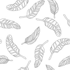 seamless pattern black and white feathers