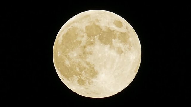 Full Moon lot of Bird Bug Plane and Ufo activity 2019 May 18