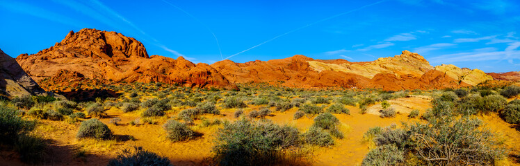 Panorama view of the Colorful Sandstone Mountains at Sunrise on the Rainbow Vista Trail in the Valley of Fire State Park in Nevada, USA