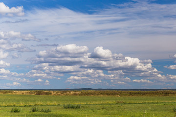 green field and blue sky