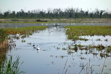 Lower Oder Valley National Park in Germany