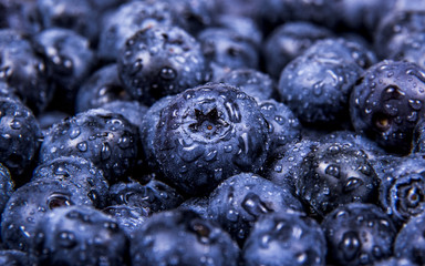 Large juicy blueberries. Wet blueberries. Macro photo blueberry