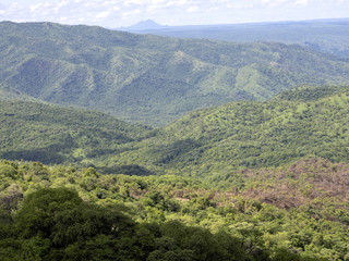 Fototapeta na wymiar Wooded landscape in Mago National Park of Southern Ethiopia