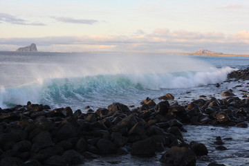 Obraz premium Galapagos islands and its wildlife and nature, in Ecuador
