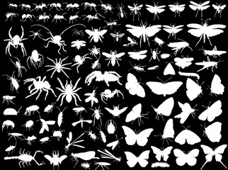 hundred insect silhouettes isolated on black
