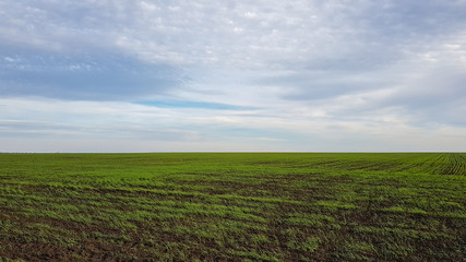 A beautiful landscape of a wheat field in the countryside