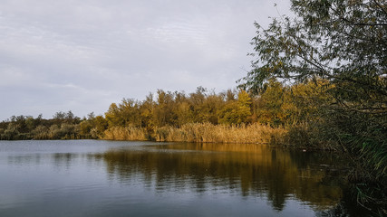 Fototapeta na wymiar landscape of a beautiful forest lake