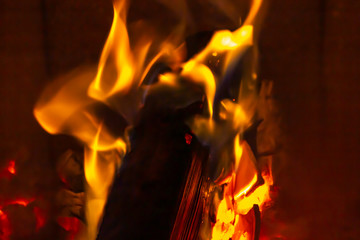 Burning wood in a fireplace 3