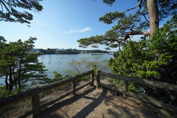 Fototapeta na wymiar 松島の風景