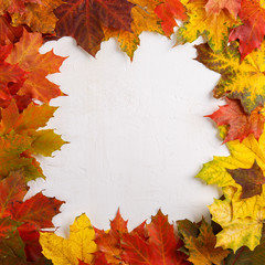 Naklejka na ściany i meble Colorful fall leaves on white background. Autumn frame. Flat lay, top view, copy space.