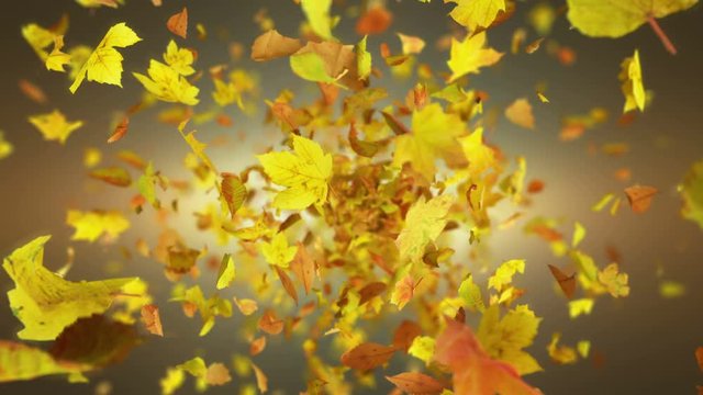 Exploding autumn leafs background