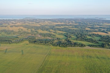 Fototapeta na wymiar Panorama of a grass field in the Novosibirsk region, in summer