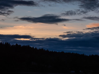 trees stand up against clouds and sunset in stormy sky