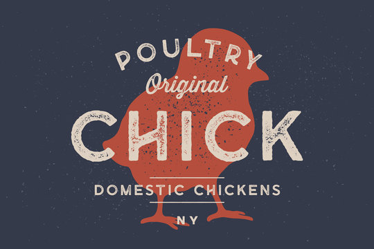 Chick, poultry. Vintage logo, retro print, poster for Butchery