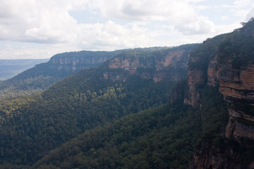 Fototapeta na wymiar A view at the cliffs near the Wentworth Falls in the Blue Mountains in Australia