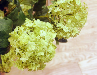 造花のアナベル