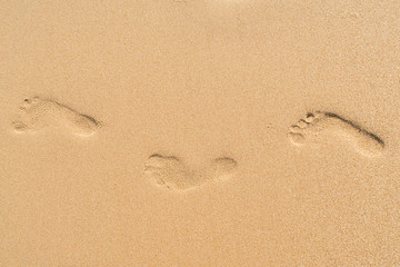 Fototapeta na wymiar human footprints in the fine sand at the beach