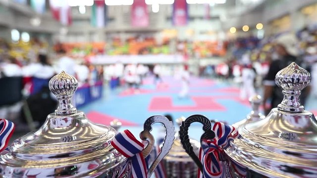 Trophies at a martial arts tournament with blurred action in the background