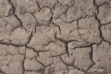 Dry cracked earth. cracked earth texture for design. textured background.