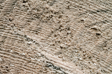 Wood texture