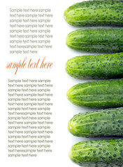 Cucumbers