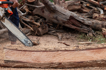 The worker works with a chainsaw. Chainsaw close up. Woodcutter saws tree with chainsaw. Man cutting wood with saw, dust and movements.