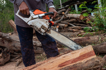 The worker works with a chainsaw. Chainsaw close up. Woodcutter saws tree with chainsaw. Man cutting wood with saw, dust and movements.
