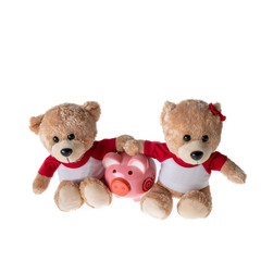 Teddy bear boys and girls along with piggy bank isolated on white background, Concept of saving money