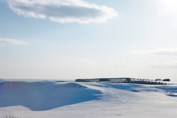 Fototapeta na wymiar 北海道中標津町の雪景色