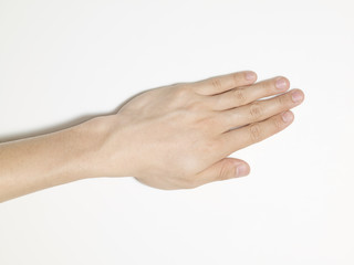 白背景の人間の手