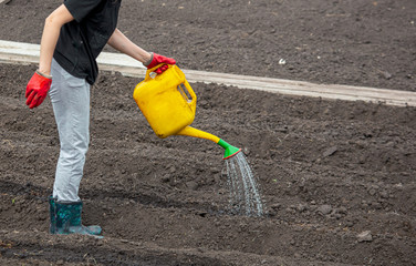 A girl pours water from the watering can of the ground