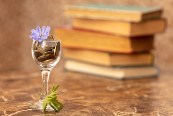 Blue flower in a glass cup with coins on the background of old books