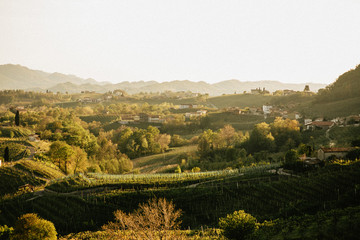 Naklejka premium Prosecco Land 2019