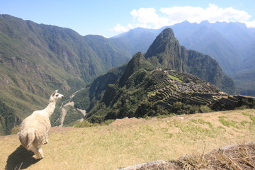 Naklejka premium Machu Picchu Incan citadel in the Andes Mountains in Peru