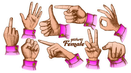 Color Multiple Female Caucasian Hand Gesture Set Vector. Collection Of Different Arm Gesture. Ok And Peace, Palm And Fist, Show Direction And Showing Signal. Hand Drawn In Retro Style Illustrations