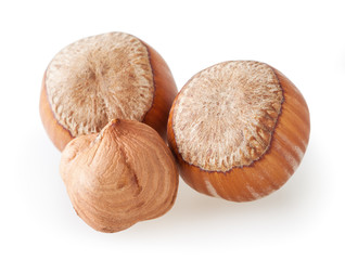 Filberts isolated on white background with clipping path