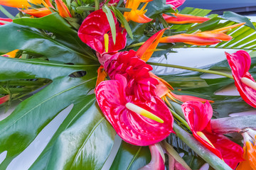 bouquet exotique  © Unclesam