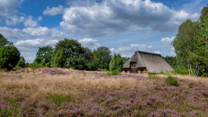 Timmerloh Schafstall